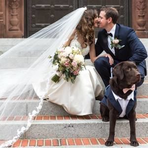 Meet your Posher, Fabiola